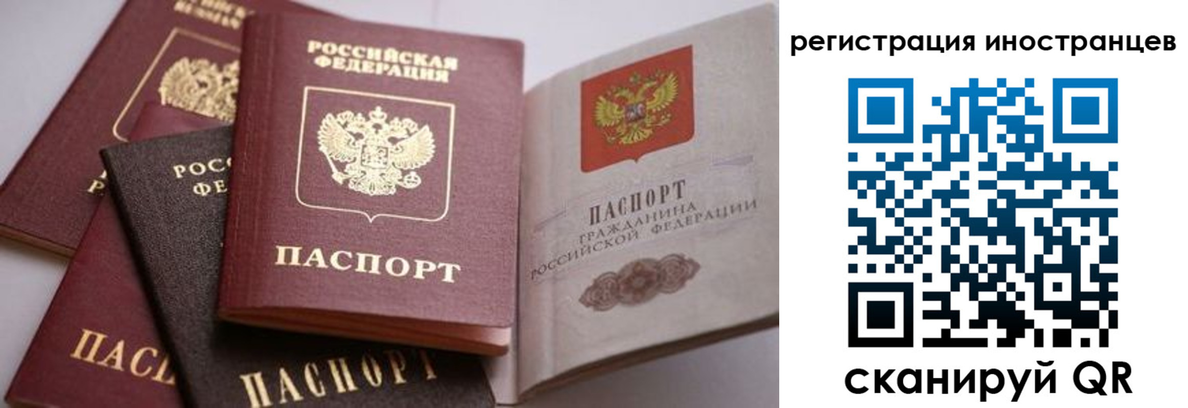 прописка штамп в Гвардейске